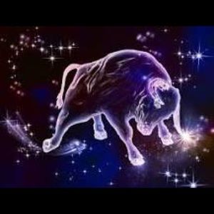 Meet your Posher, Shoshohannah